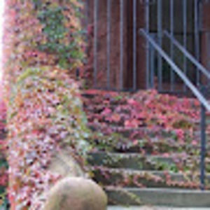 Meet your Posher, Sunantra